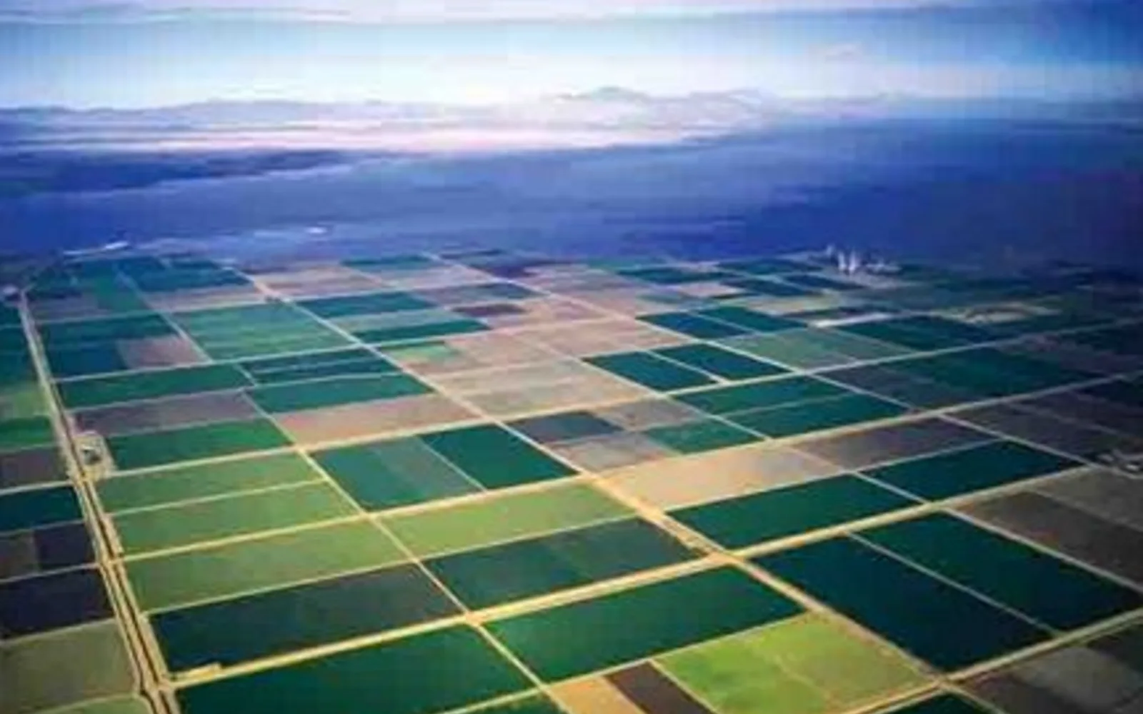 Agricultural fields in California showing extensive crop production